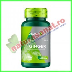 Ginger Ghimbir 300 mg 30 capsule - Adams Vision - www.naturasanat.ro