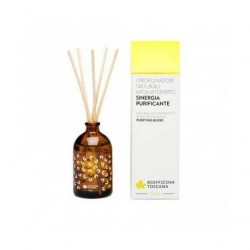 Parfum purificator de camera, 100ml - Biofficina Toscana - www.naturasanat.ro