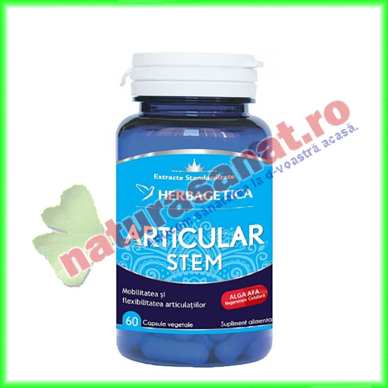 Articular Stem 60 capsule - Herbagetica - www.naturasanat.ro