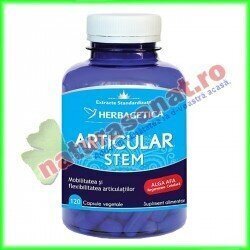 Articular Stem 120 capsule - Herbagetica - www.naturasanat.ro
