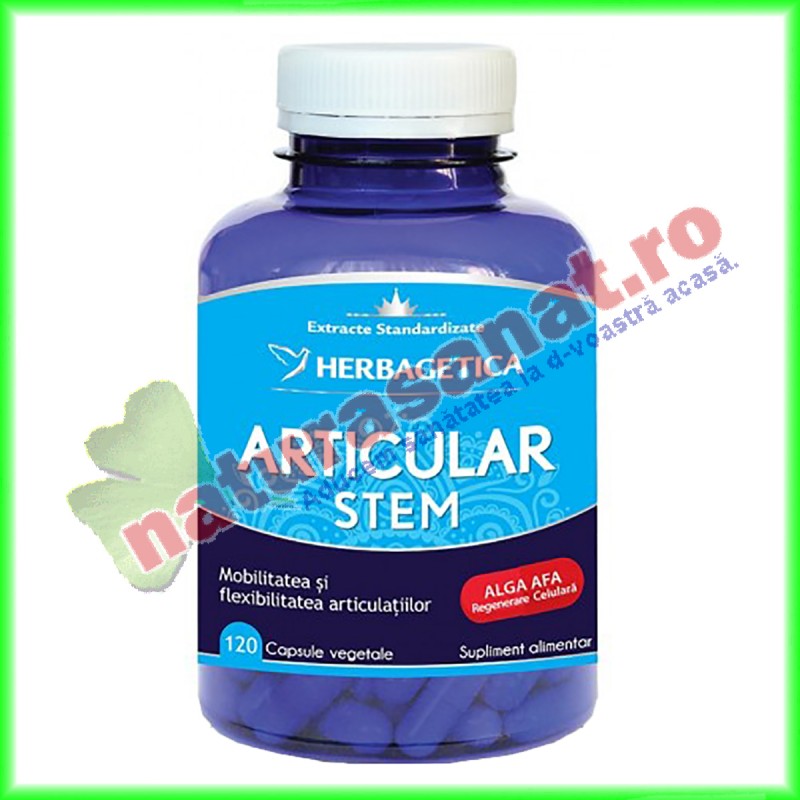 Articular Stem 120 capsule - Herbagetica - www.naturasanat.ro