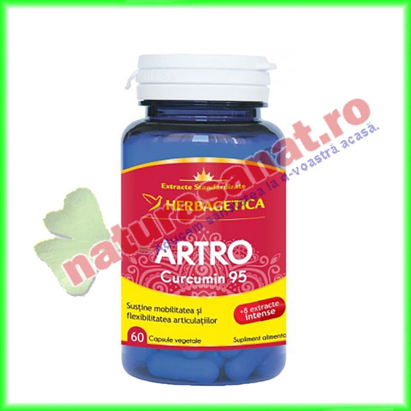 Artro Curcumin 95 60 capsule - Herbagetica - www.naturasanat.ro
