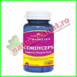 Cordyceps Ciuperca Tibetana Forte 60 capsule - Herbagetica - www.naturasanat.ro