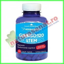 Ginkgo 120 Stem 120 capsule - Herbagetica - www.naturasanat.ro