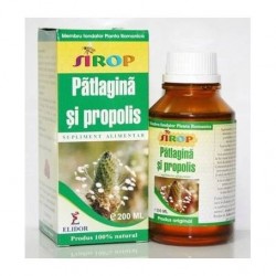 SIROP PATLAGINA SI PROPOLIS 100ml, Pontica Elidor - www.naturasanat.ro