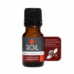 Ulei Esential Cuisoare, 10ml - SOiL - www.naturasanat.ro