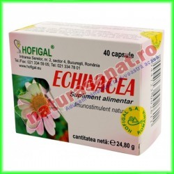 Echinacea 40 capsule - Hofigal - www.naturasanat.ro