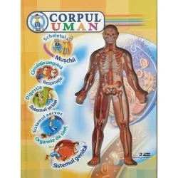 Corpul uman