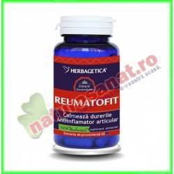 Reumatofit 60 capsule - Herbagetica - www.naturasanat.ro