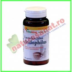 Acidophilus 60 capsule - Vitaking - www.naturasanat.ro