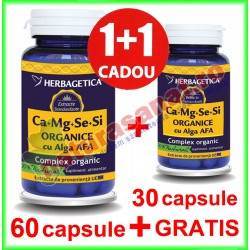 Ca Mg Se Si (Calciu Magneziu Seleniu Siliciu) Organice cu Alga AFA PROMOTIE 90 capsule la pret de 60 capsule - Herbagetica