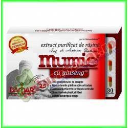 Rasina Mumie cu ginseng 60 capsule (extract purificat) - Damar General Trading