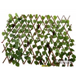 ?Gard decorativ cu struguri...