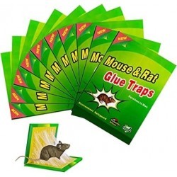 Set 10 Capcane de...