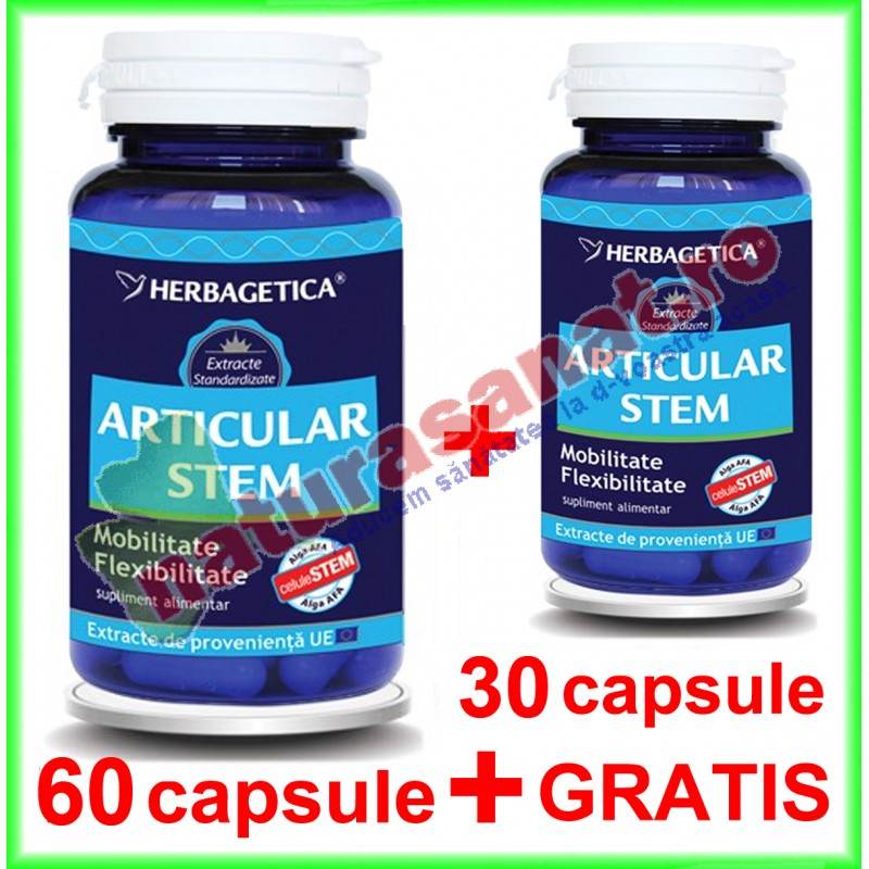 Articular Stem PROMOTIE 90 capsule la pret de 60 capsule - Herbagetica - www.naturasanat.ro