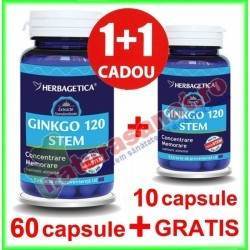 Ginkgo 120 Stem PROMOTIE 60+10 capsule - Herbagetica - www.naturasanat.ro