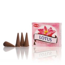 Conuri parfumate LOTUS 10...