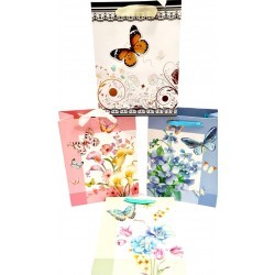 Pungi cartonate C en-gross