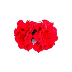 Pachet 12 Clesti Floare...