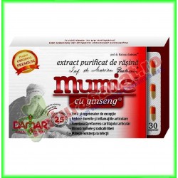 Rasina Mumie cu ginseng 30 capsule (extract purificat) - Damar General Trading