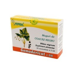 Muguri de Coacaz Negru 30...