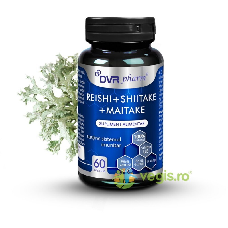 Reishi Ganoderma 30 capsule - DVR Pharm - www.naturasanat.ro