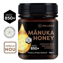 Apicole Melora Mgo 850+...