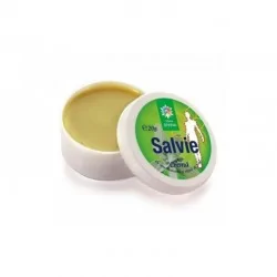 Salvie crema, 20 g, Steaua Divina - www.naturasanat.ro