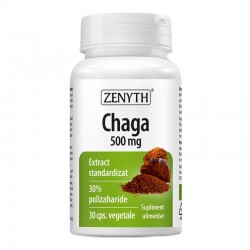 Chaga, 500 mg, 30 capsule, Zenyth - www.naturasanat.ro