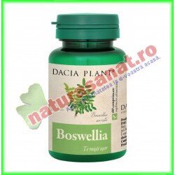 Boswellia 60 comprimate - Dacia Plant - www.naturasanat.ro
