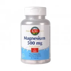 Secom Magnesium 500 mg, 60 capsule - www.naturasanat.ro