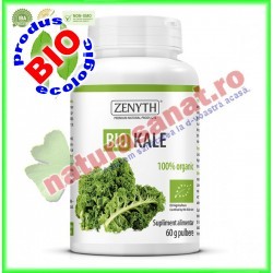 Bio Kale (Varza de Kale) Pulbere 60 g - Zenyth - www.naturasanat.ro
