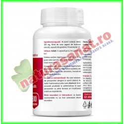 N-Acetyl L-Cysteine 300 mg 60 capsule - Zenyth - www.naturasanat.ro