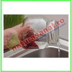 Germinator de sticla de 750 ml - www.naturasanat.ro