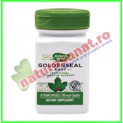 Goldenseal 30 capsule - Nature's Way - Secom - www.naturasanat.ro