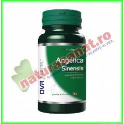 Angelica Sinensis 30 capsule - DVR Pharm - www.naturasanat.ro