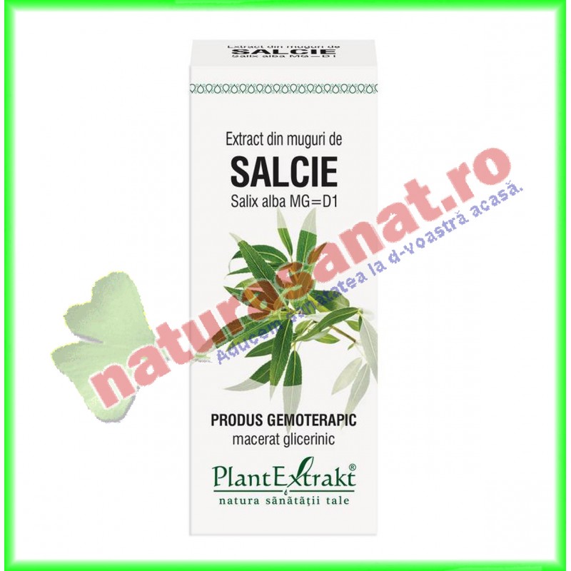 Extract din muguri de salcie (Salix alba gemme) 50ml PlantExtrakt - www.naturasanat.ro