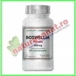 Boswellia Extract 500 mg 30 capsule - Goodhealth - Cosmo Pharm - www.naturasanat.ro